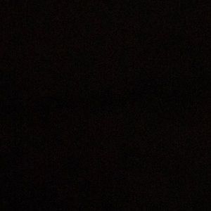 Meet your Posher, Tayler